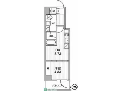 ALTERNA中野(1DK/7階)の間取り写真