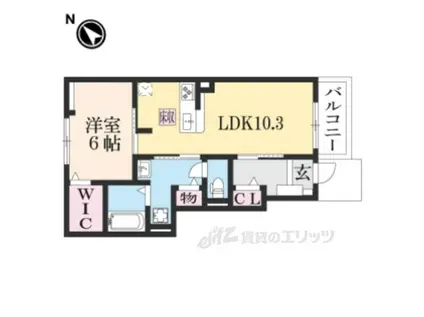 RIRIAVII 10(1LDK/1階)の間取り写真