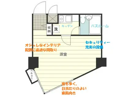 ライオンズマンション天文館(1K/6階)の間取り写真