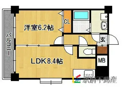 ソレイユ六本松(1LDK/5階)の間取り写真