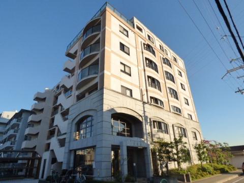 ゼンコウコーポラス8号館(3LDK/1階)