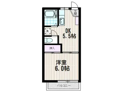 エルセリート上小町(1DK/1階)の間取り写真