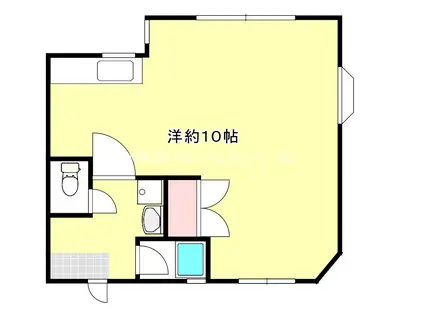 ハイツ森(ワンルーム/1階)の間取り写真