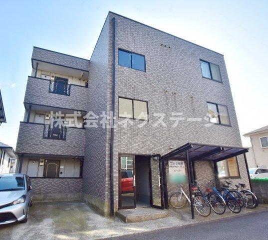 セレナ桜台マンション(1K/1階)