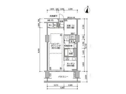 東雲キャナルコートCODAN(1LDK/5階)の間取り写真