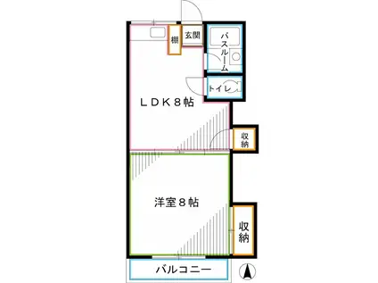 クレイン国立(1LDK/1階)の間取り写真