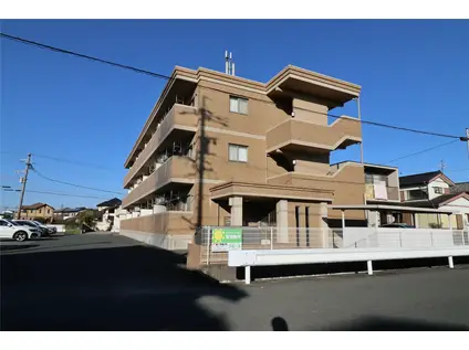 MS DREAMXIV(1LDK/2階)の外観写真