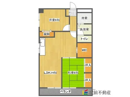 ライトハウス(2LDK/3階)の間取り写真