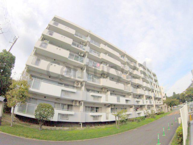 アルビス寺本1(3LDK/4階)