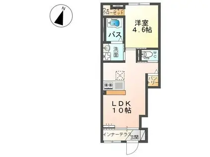 セレーナ(1LDK/1階)の間取り写真