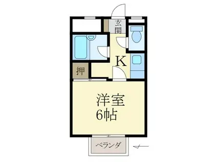 シンコーハイツ(1K/1階)の間取り写真