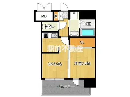 ALFACIO ミラーニ(1DK/12階)の間取り写真