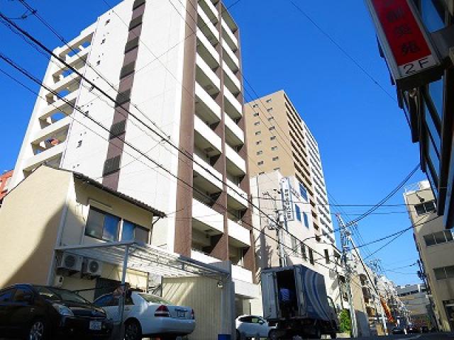 ZIO宝町(1LDK/8階)