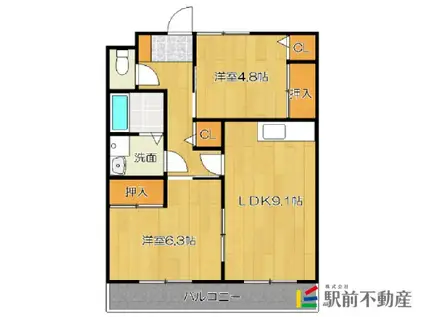 ライフ平田V(2LDK/1階)の間取り写真