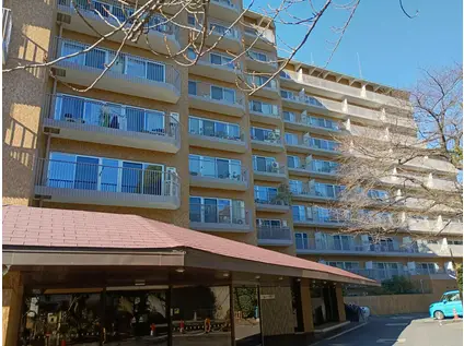 代々木の杜ハイツ(3LDK/5階)の外観写真