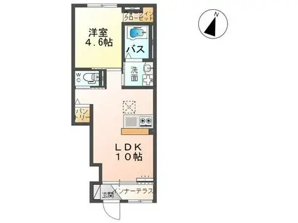 セレーナ(1LDK/1階)の間取り写真
