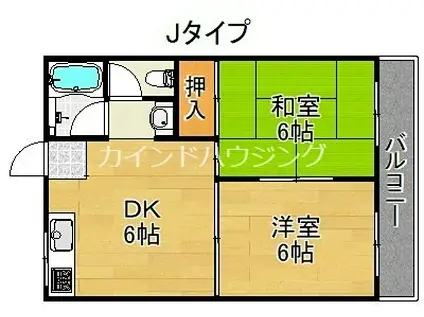 アベニュー玉出(2DK/4階)の間取り写真