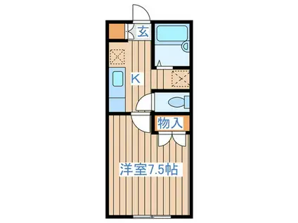 WINSTON116(1K/2階)の間取り写真