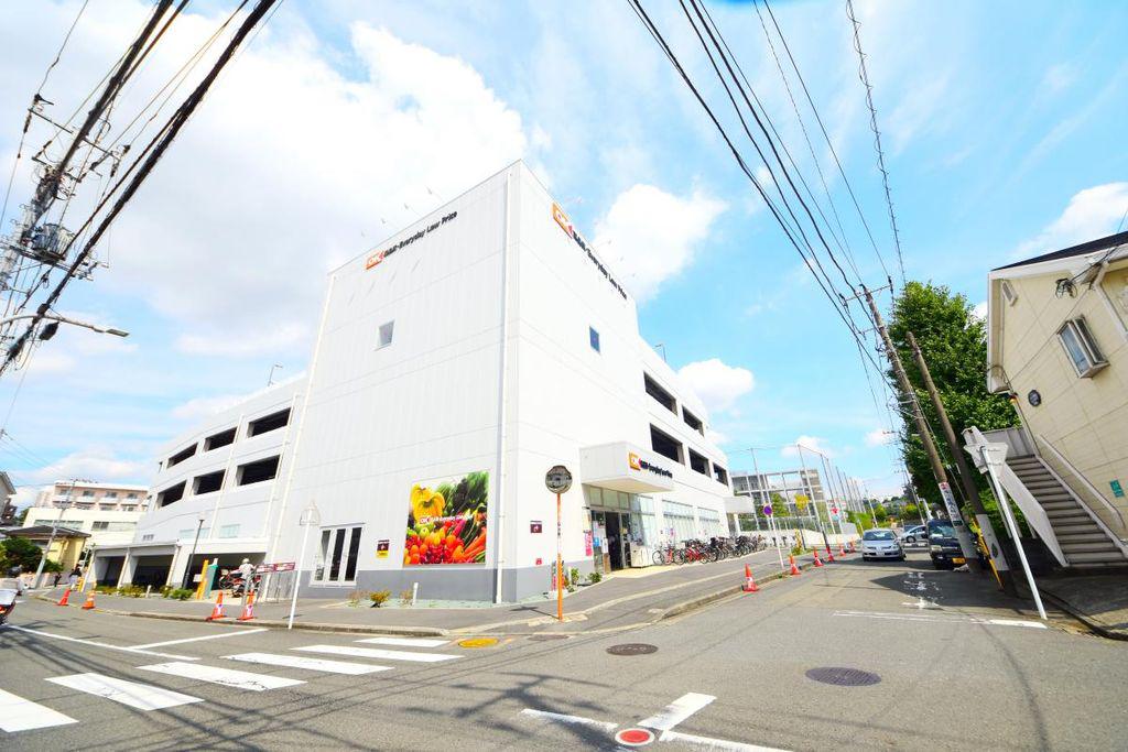 グリシーヌ横浜(2LDK/5階)の周辺写真