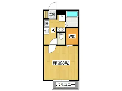 メイプルコート(1K/1階)の間取り写真