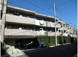 ライオンズガーデン成増