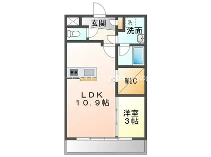 カルディアス大岩B(1LDK/2階)の間取り写真