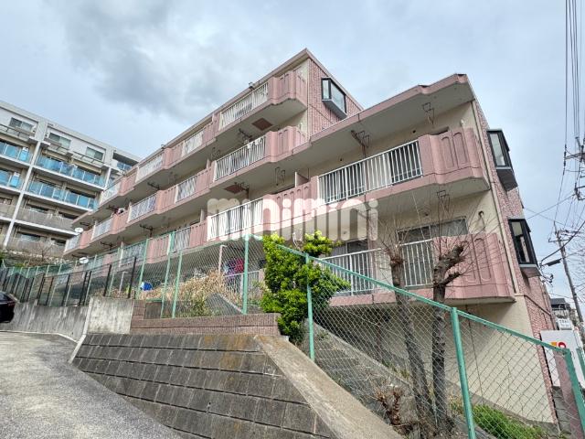 ホームズすみれが丘(2LDK/3階)