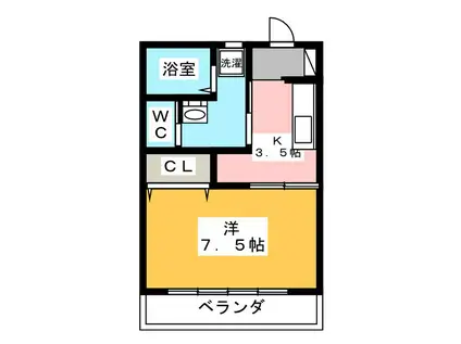 シンコーハイツ(1K/1階)の間取り写真