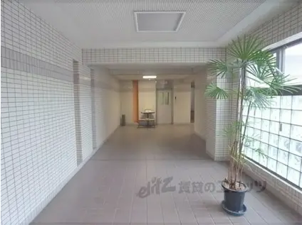 デイスターアベニュー(1K/4階)の外観写真