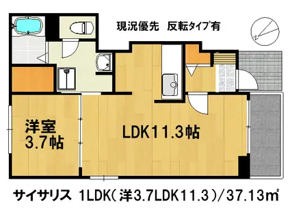 サイサリス(1LDK/1階)の間取り写真