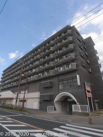 ピジョン田園(3DK/6階)