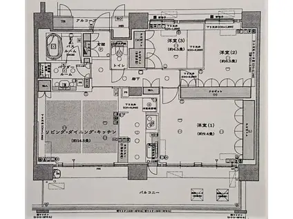 タイムズピーススクエア セントラルパークシティ(3LDK/5階)の間取り写真