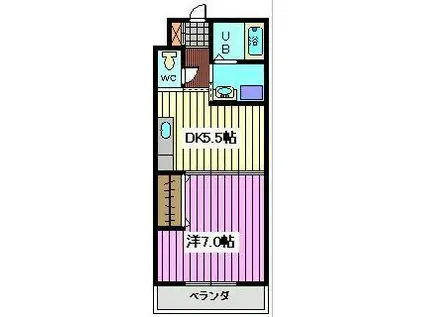 ハピネス武蔵浦和(1DK/1階)の間取り写真