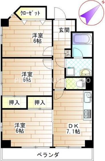 VERDE COLLINA(3DK/5階)の間取り写真