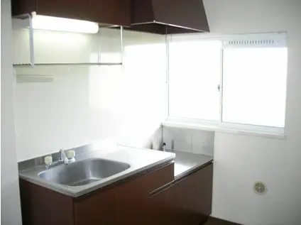 パーク・ハイムA(2DK/1階)のキッチン写真