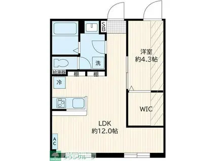 クリオラモード学芸大学I(1LDK/3階)の間取り写真