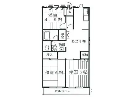 中新井ブルームハイツ(3DK/3階)の間取り写真