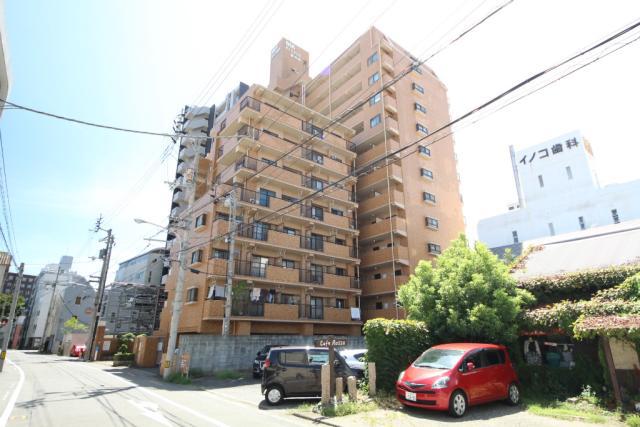 ダイアパレス新内町(ワンルーム/3階)