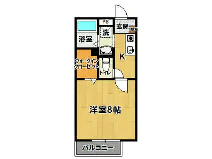 メイプルコート(1K/1階)の間取り写真