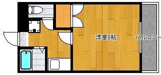 シバタビルディング(1K/3階)の間取り写真