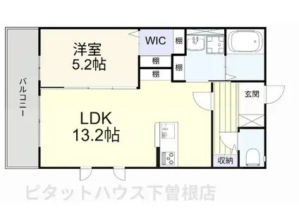 プランドール(1LDK/1階)の間取り写真