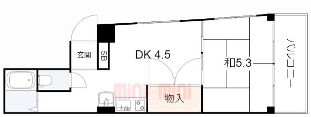 第五大力ハイツ(1DK/1階)の間取り写真