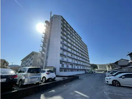 とさでん交通後免線 舟戸駅 徒歩7分 11階建 築33年(3DK/8階)の間取り写真