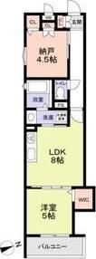 フォレストクリエオーレ宮前町壱番館(1SLDK/3階)の間取り写真