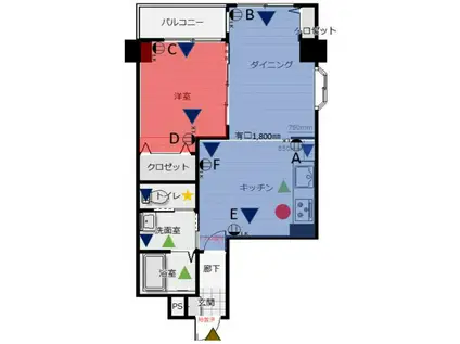 白百合グランドシャトー(1LDK/6階)の間取り写真