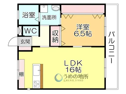 アッパーヤード(1LDK/3階)の間取り写真