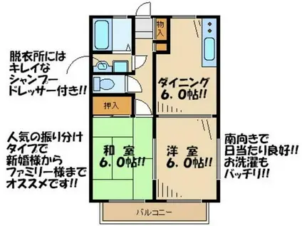 ウィータ・ベアータ(2DK/2階)の間取り写真