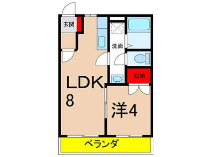 プラシード(1LDK/1階)の間取り写真