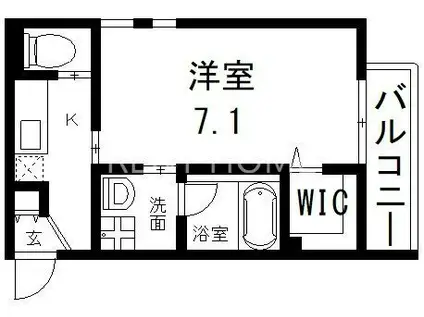 ステディ八戸ノ里(1K/2階)の間取り写真