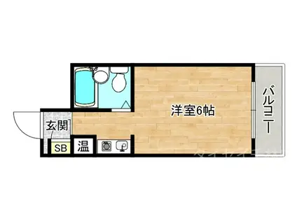 グリーンマンション(ワンルーム/1階)の間取り写真